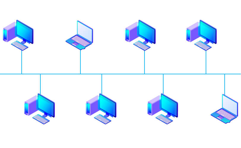 Network Topology - BieneIT