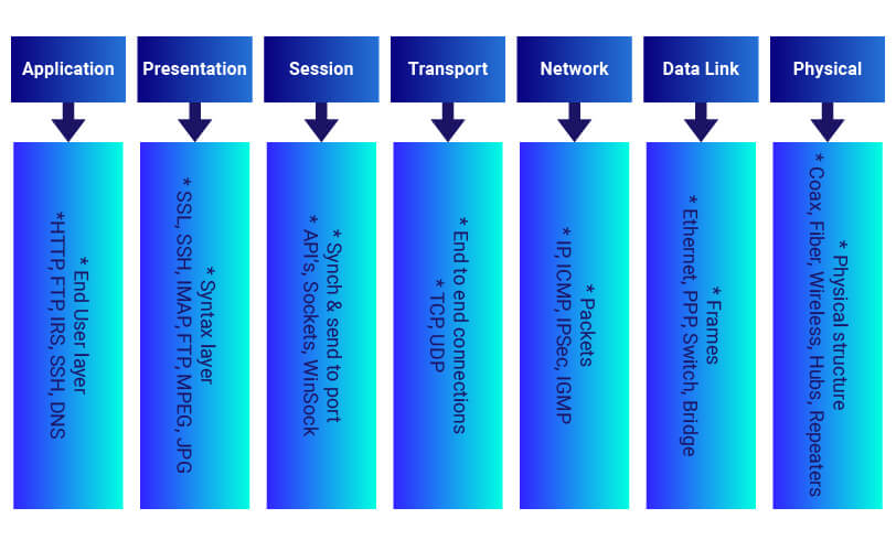 Network Topology - BieneIT