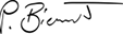 Patrick's Signature - BieneIT